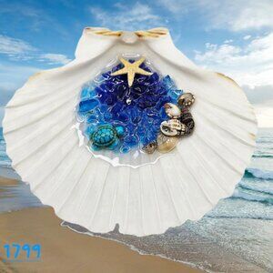 Seashell Trinket Dish # 1799